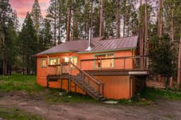 Cub House