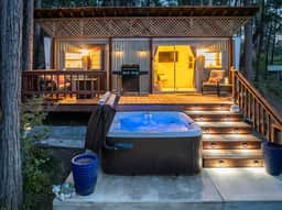 Among The Forest